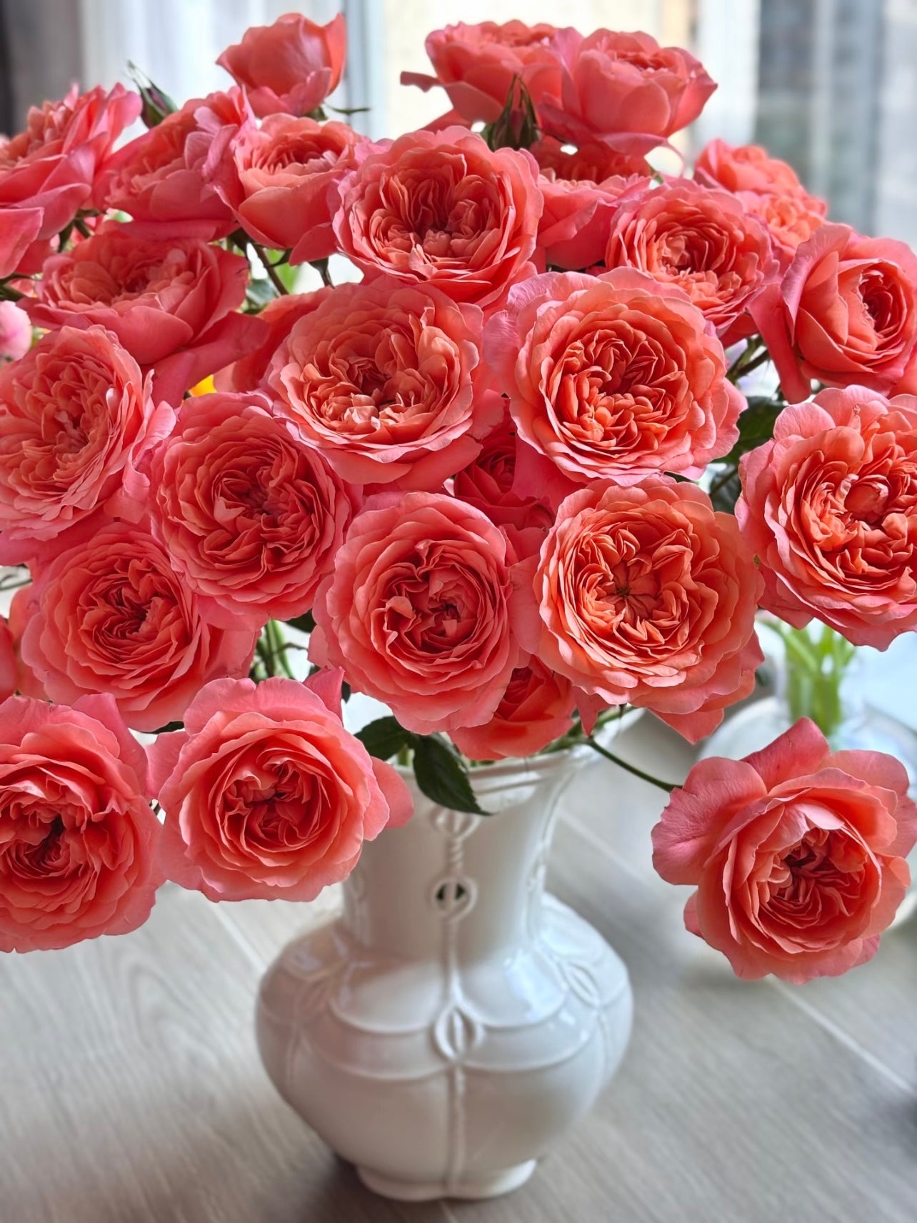 Juicy Red Rose