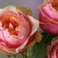 Godfather Rose