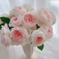 Lapin Rose