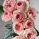 Masora Rose – Climbing or Shrub – Fruity Fragrance, Heat-Tolerant
