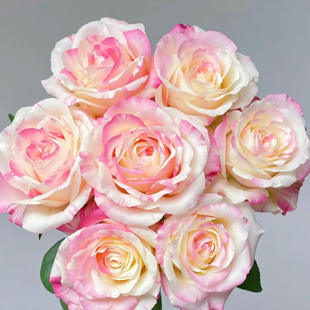 Ni Chang Rose