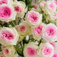 Ice Cream Rose