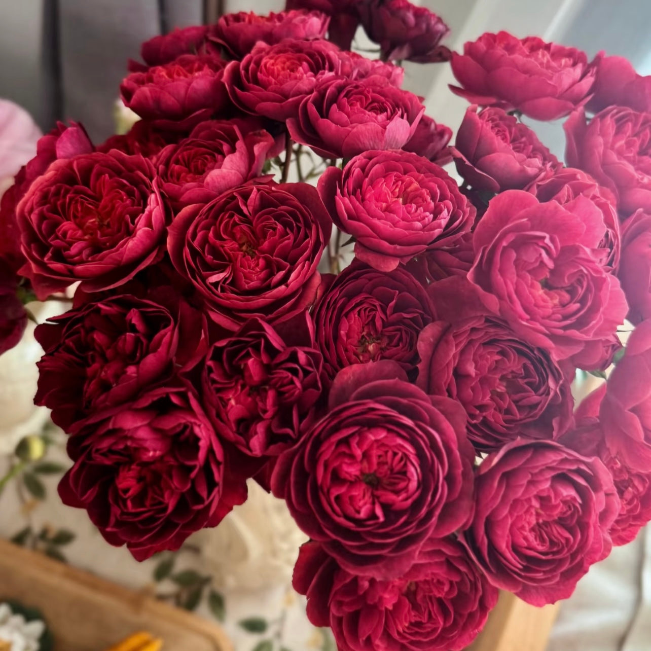 Cherry Juice Rose