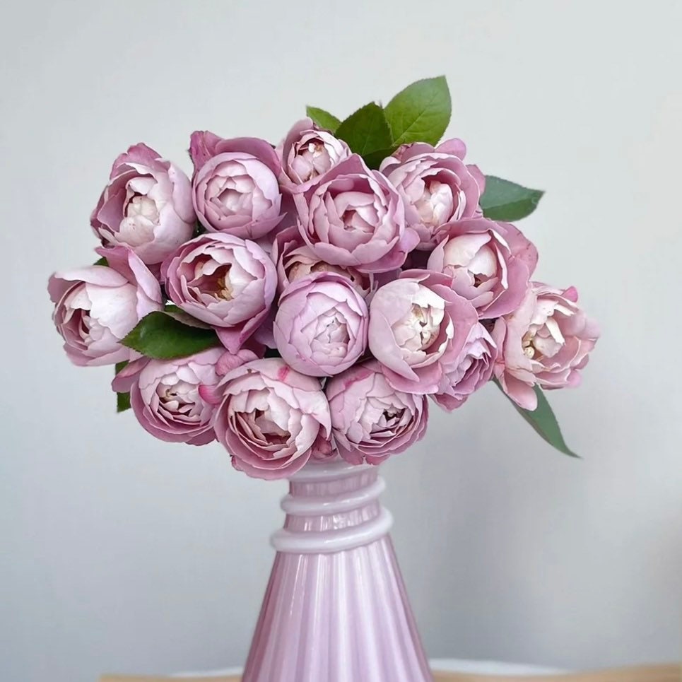 Boule de Parfum Rose - Kate Roses