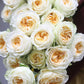 Butter Cup Rose - Kate Roses