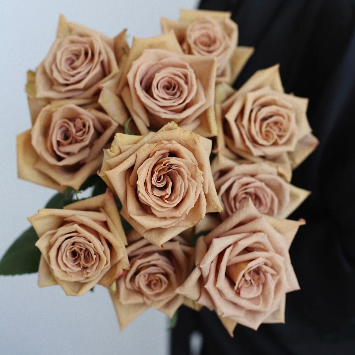 Open Toffee Roses Brown Toffee Rose | Kate Roses